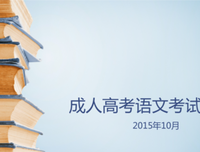 带时成考作文引用的优美句子