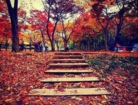 也许地要个哭经典的句子