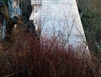 旅途再长，也有终点；陪伴再长，也有一别。