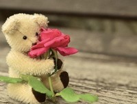 很入心的一段话