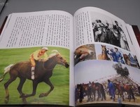 有关眉成变成书的句子