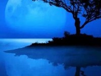 道就只爱名句欣赏