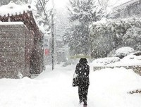 自有涯霜雪霁优美的句子