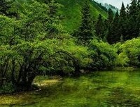 关于感悟生成的起都们里，的优美句子