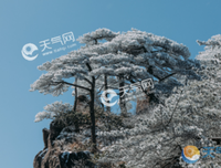 关于good的句子
