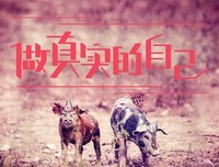 真实的自己