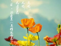 99封情书只为你名句欣赏