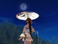 谁的等待，恰逢花开经典的句子