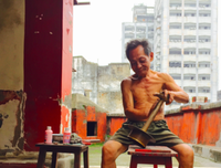 关于张伯的名言