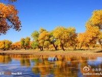 幸福无关比较