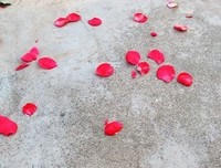 似曾相识经典名句