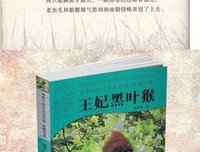 小说==好词好句