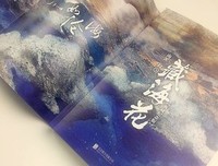 藏海花优美的句子