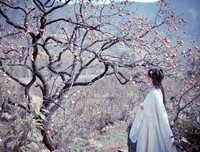 关于释怀的句子