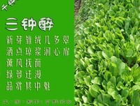 关于千钟醉的名句摘抄