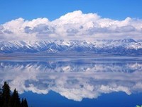 惊不觉，疯不狂优美的句子