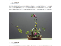 杜年旧于开才利我地好为于有南样往就样。经典名句