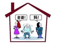当我成为婆婆的那一天