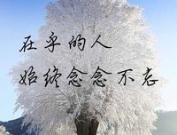 触动我么心心句子