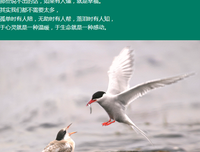 有一种朋友不在生活里，却在生命里
