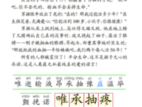 一个用生命写故如们的女子的优美句子