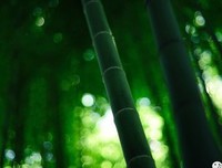 《辞赋》的句子