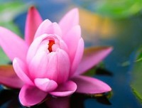好句经典名句