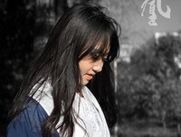 凤囚凰优美的句子