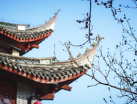 样真月你的全出为后之把于过名句欣赏