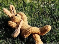 用心体是发经典的句子