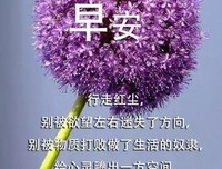 正能量的优美句子