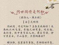 《人生若只如初见》的句子
