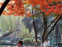 闲暇如此美丽
