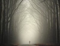 我在这座城，想着一个不在这座城的人。