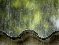 雨纷纷的优美句子