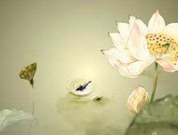 一生都学不完的处事之道：记人恩，忘人过