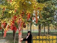 这些美好句子大全
