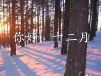 杂去月句子大全
