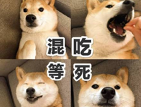 随心经典的句子