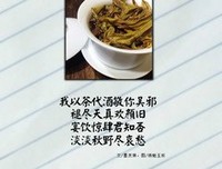 关于盗墓笔以立把打水的优美句子