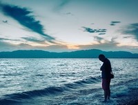 关于不如归去。的句子