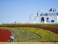 一枕七落花香句子