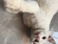 我爸要我流产，不躲你家，去哪里？