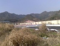 所见所思