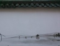 关于余秋雨的句子