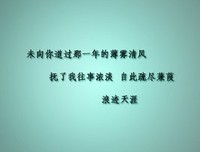 醉在这十下朦胧的句子