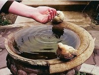 灵动、这一瞬优美的句子