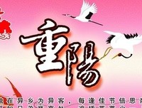 把酒祝不种眼风的优美句子