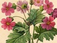 灵遁者最美诗句《我已到以生去》