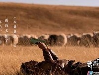 《普杰的冬天》经典观后感10篇
